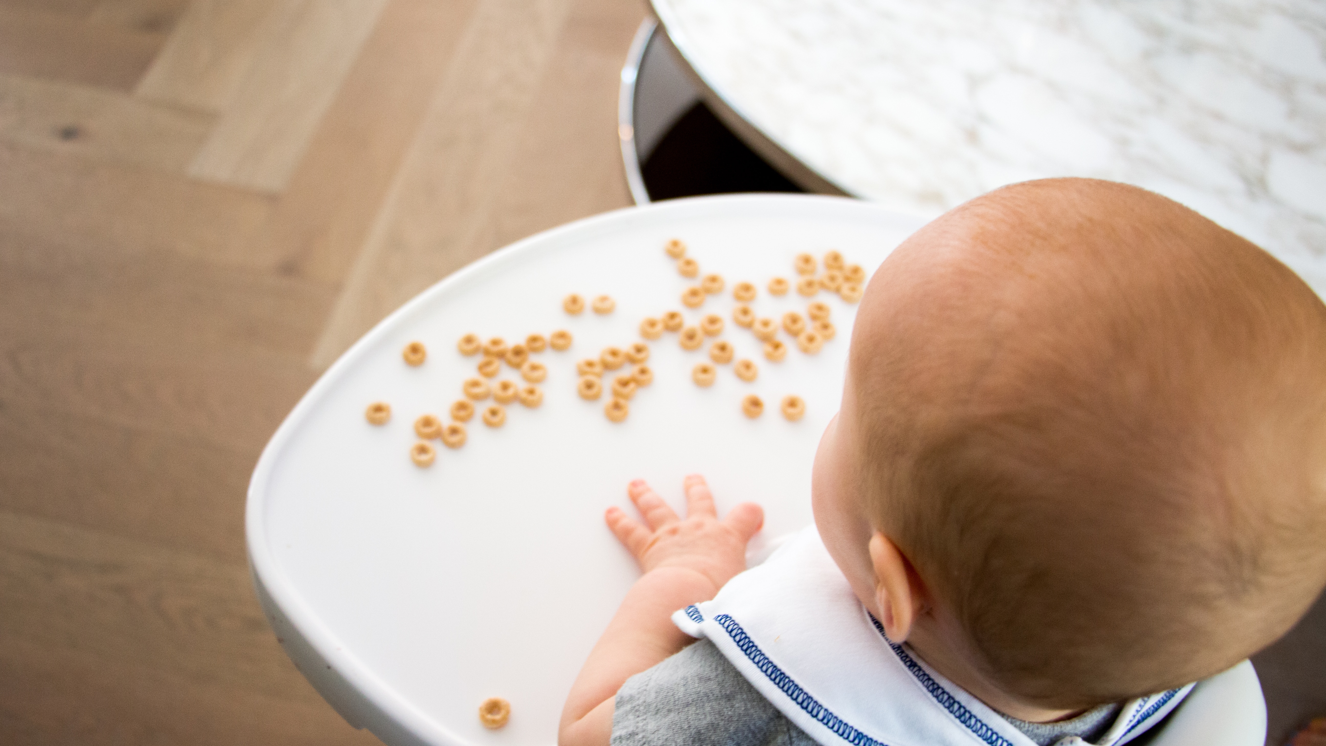 BLW First Foods  A Beginner's Guide for Starting Solids Without